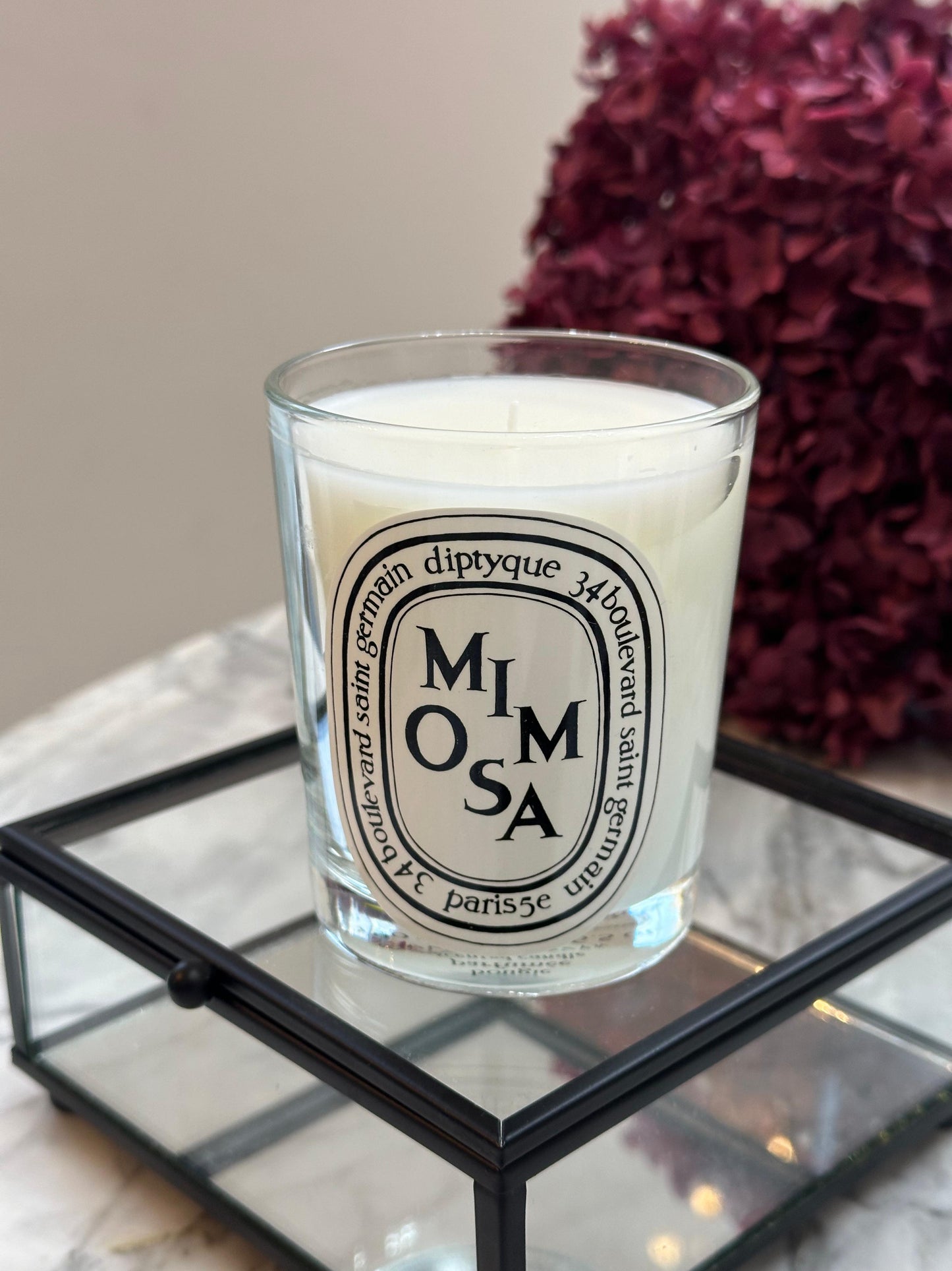 DIPTYQUE Mimosa
Classic Candle - The Herbarium of Flowers