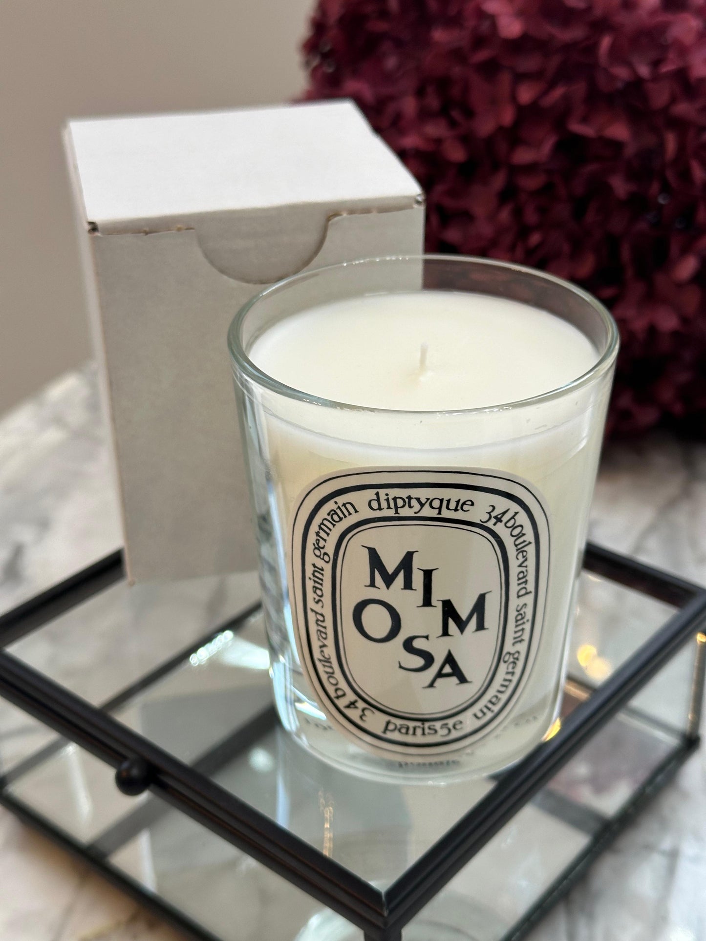 DIPTYQUE Mimosa
Classic Candle - The Herbarium of Flowers