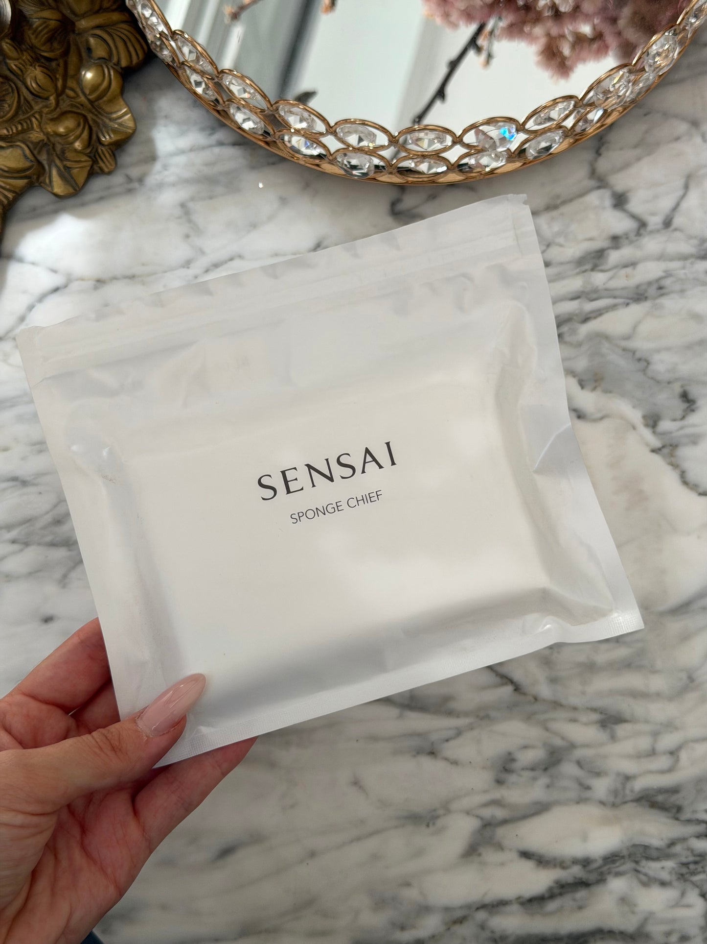 SENSAI 
Silky Purifying Sponge Chief
