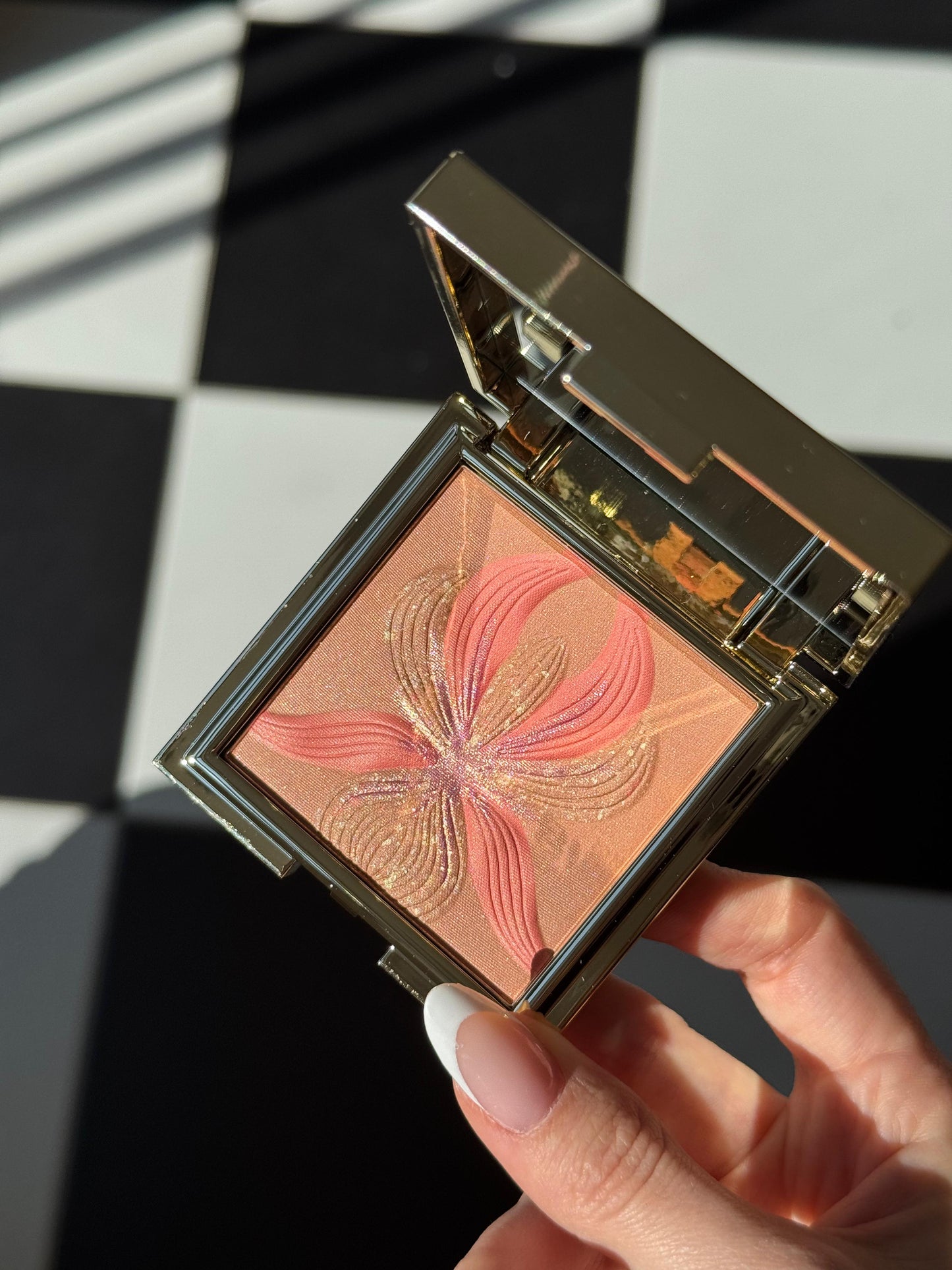 SISLEY L'Orchidée
Highlighter Blush (1)