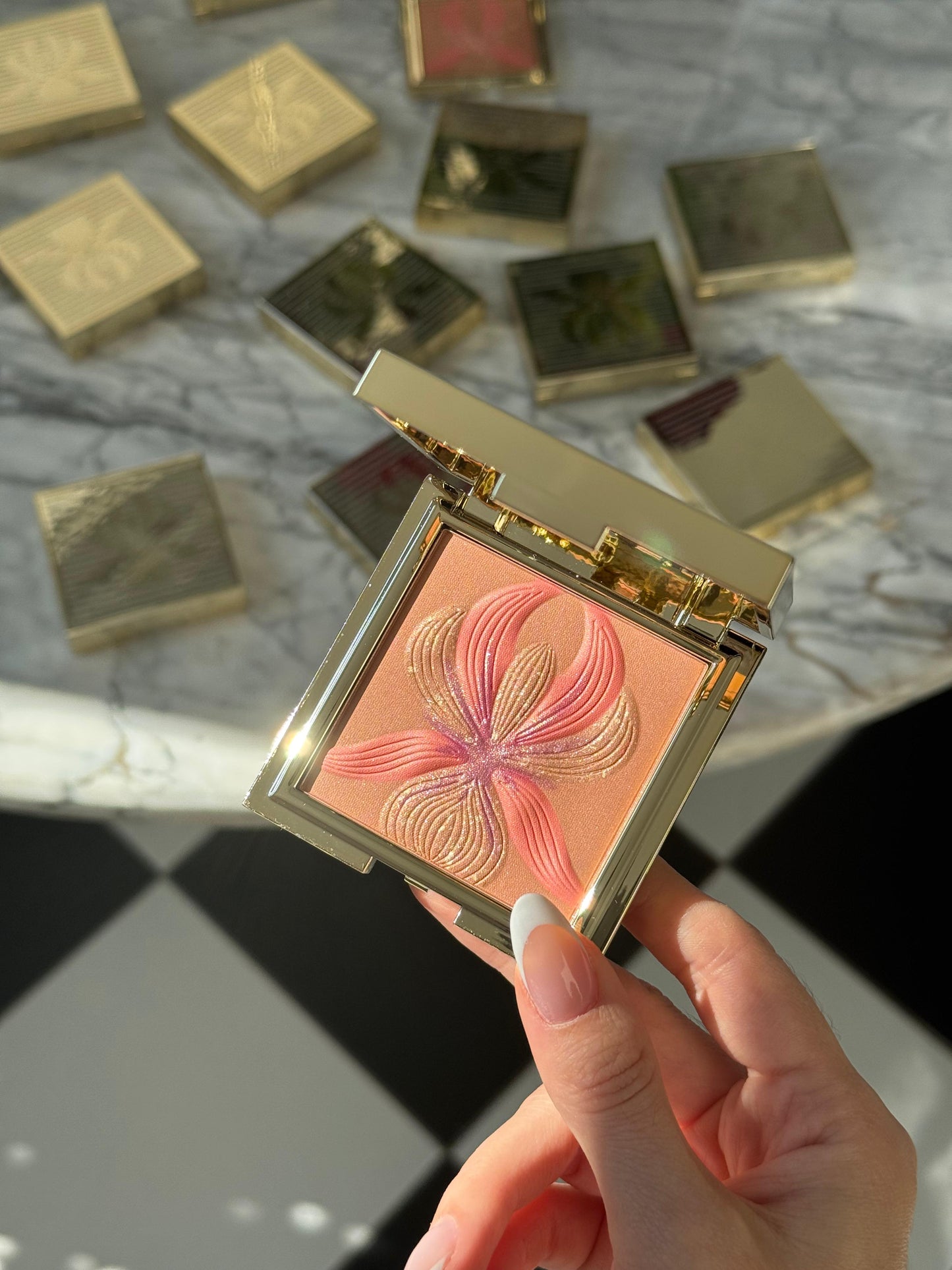 SISLEY L'Orchidée
Highlighter Blush (1)